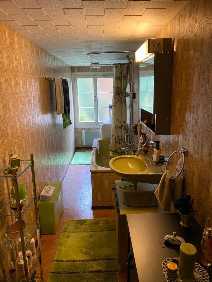 Chalet Schoenberg グンテン エクステリア 写真